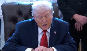 Trump schimbă statutul canabisului în SUA. Planta, recunoscută cu potențial medical