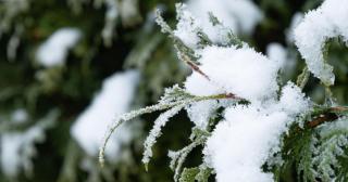 Solstiţiul de iarnă are loc astăzi şi marchează începutul iernii astronomice. Cea mai scurtă zi din an