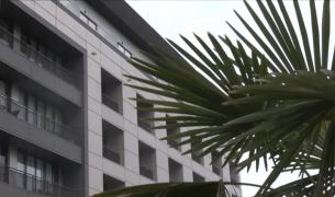 Turiștii își rezervă deja vacanțele pentru Crăciunul viitor la Băile Felix: "Venim de ani de zile"