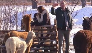 O nouă atracție face senzație în Craiova. Cum arată țarcul cu animale care i-a fermecat pe cei mici