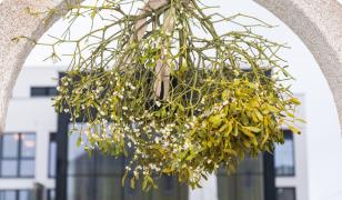 Superstiţii de Revelion. Ce pun românii pe masă şi în buzunar ca să aibă noroc, bani şi sănătate în 2026