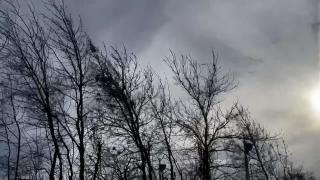 Cod roşu de vânt în Cluj. Rafalele au atins viteze de peste 120 km/h