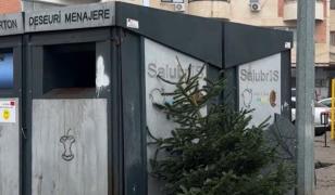 Ce amenzi riscă cei care aruncă bradul de Crăciun la gunoi. Soluţiile propuse de autorităţile locale