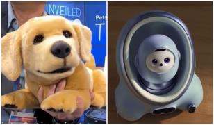 Cum arată noile animale de companie cu AI, din metal, concepute pentru cei alergici