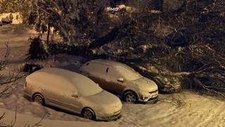 Cum ne ferim de ger: cele mai bune trucuri pentru a rămâne în siguranță iarna