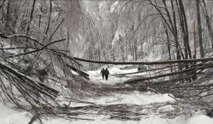 Viscol și ger extrem în vestul României: Localități izolate, pene de curent și temperaturi de -19 °C