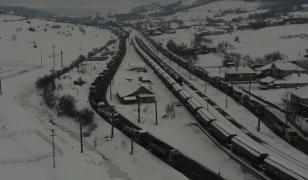 Marfa care se vinde acum ca pâinea caldă. Șoferii stau cu orele la rând să-și încarce TIR-urile