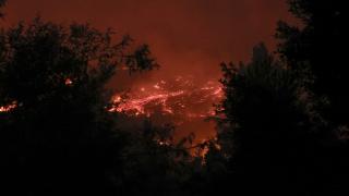 Incendii de proporţii în Chile. Cel puţin 19 oameni au murit, peste 50.000 evacuaţi de urgenţă