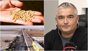 Acordul Mercosur. Expert în piaţa de cereale: UE nu va putea controla marfa care vine din America de Sud