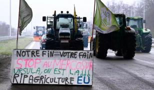 Peste 200 de fermieri români au zburat spre Strasbourg ca să protesteze faţă de acordul Mercosur