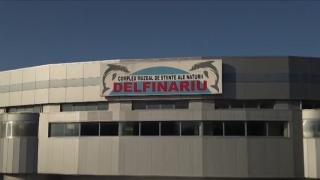 Cum arată noul bazin pentru delfinariul din Constanţa, construit cu 17 milioane de lei