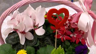 Buchetele de Valentine’s Day, mai scumpe anul acesta. Ce flori sunt căutate şi cât costă