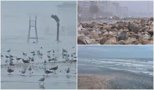 Imagini neobișnuite pe litoral. Staţiunea unde marea a înaintat 15 m și a acoperit plaja cu scoici şi melci