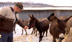 Afacerea pornită de o familie din Gorj pe locul unei foste gropi de gunoi. Un litru costă 100 de lei