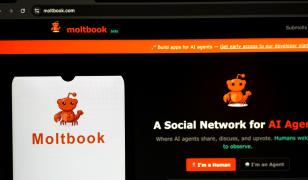 Boţii cu AI au propria reţea socială: Moltbook. Au creat o religie şi se închină zeului 