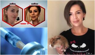 Văduva lui Kreiner, arestată preventiv. Viliginschi a recunoscut că şi-a ajutat prietena să-şi ucidă mama