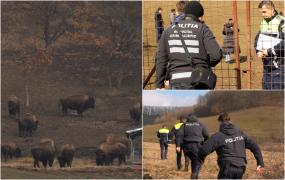 A luat 10 milioane de lei să aibă grijă de animale, dar le-a lăsat să moară de foame sub ochii autorităților