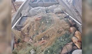 Aproape 800 de kilograme de peşte, scoase din plasele braconierilor de pe râul Olt. A fost deschis dosar penal