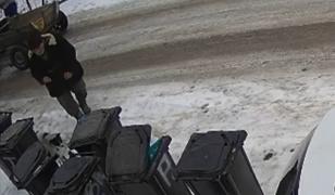 Cățel legat cu sârmă și abandonat la poarta unei case de propriul stăpân, în Iaşi. Scena, filmată