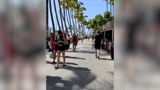 Vestul Europei lovit de un val de căldură în ultimele zile de iarnă: 30 de grade în Franţa şi Spania