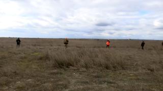 Satele din România care trăiesc sub teroarea șacalilor. Oamenii se tem să iasă din case şi să scoată animalele