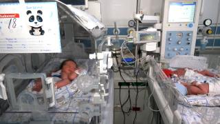 Premieră la Maternitatea Odobescu din Timișoara: o naștere rară de tripleți identici care i-a uimit pe medici