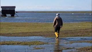 Pericol de inundații în Dolj. Lacul Bistreț a ajuns la un nivel nemaiîntâlnit de 12 ani, iar digul s-a fisurat