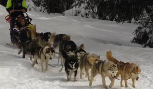 Staţiunea considerată 