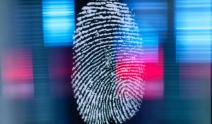 Frontierele României intră în era digitală. Controalele vor fi făcute exclusiv electronic