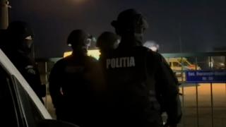 Câini maidanezi, eutanasiaţi ilegal. Anchetă în 4 judeţe, descinderi ale Poliţiei la 3 primării