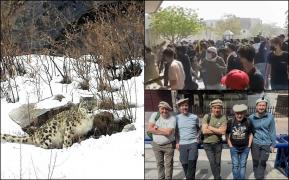 Aventura românilor plecaţi în Pakistan după leopardul de zăpadă. Şi-au riscat viaţa pentru a-l fotografia