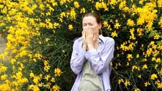 Ce riscuri ascund alergiile ignorate și cum le recunoști înainte să fie prea târziu