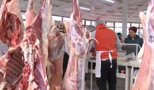 Carnea de miel vândută online la prețuri tentante, pericol pentru sănătate. La ce trebuie să fim atenți