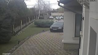 Trei șoferi au intrat într-o curte din Botoșani ca să scape de controlalele poliţiştilor. Unul nu avea permis