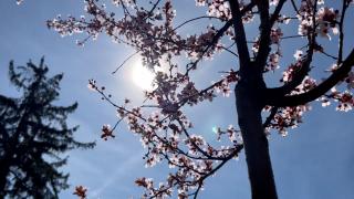 Cum va fi vremea de Paşte. După ninsori şi viscol, vom avea 20 de grade la umbră