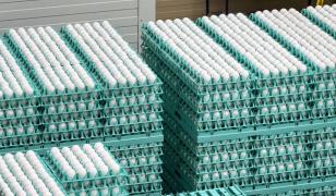 Alertă sanitară: 1,5 milioane de ouă contaminate cu Salmonella, depistate de inspectorii ANSVSA