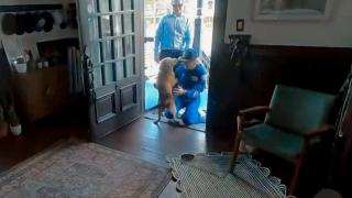 Cea mai caldă primire după o misiune istorică. Cum a fost aşteptată astronauta de pe Artemis II de căţeluşa ei