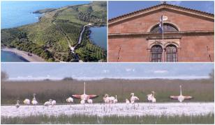 Secretele insulei Lesbos din Grecia, locul unde natura spune povești vechi de milioane de ani