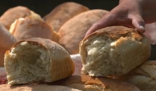 Banatul va deține titlul de 