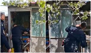 Misiune mai puţin obişnuită pentru jandarmii din Galaţi. Ce au găsit în gospodăria unei femei