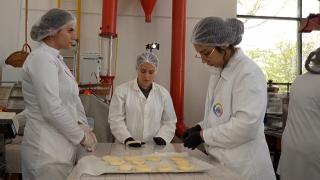 Cum arată mâncarea viitorului: covrigi cu făină de greiere sau pâine cu culturi speciale de mucegai