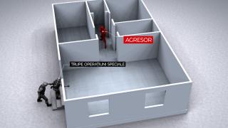 ANIMAŢIE. Bărbat din Neamţ ucis de trupele speciale SAS, după ce a tras în mascaţi