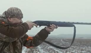 Până la 1.000 de urși din pădurile României pot fi uciși în 2026. Unde sunt cele mai multe exemplare vizate