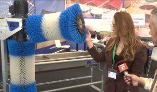 Cum sunt tratate animalele în fermele moderne: perii automate, zone de relaxare și ventilatoare cu apă