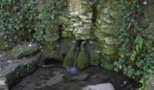 Turiștii au luat calea muntelui. Administratorii pensiunilor au crescut prețurile, dar nu duc lipsă de clienți