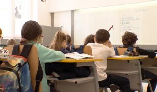 Proiect pentru reducerea alocației de la 292 la 100 de lei și introducerea unei 