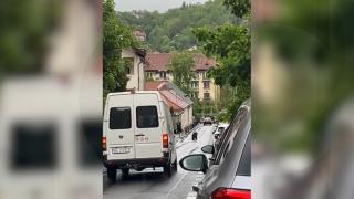 Urs filmat în centrul Braşovului, în timp ce face slalom printre maşini şi aleargă pe străzi