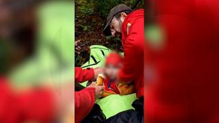 Alexandru, copilul salvat după 40 de ore în pădure, are pneumonie şi a fost muşcat de căpuşe. Ce spun părinţii