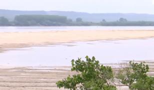 Debitul Dunării s-a prăbuşit: în Dolj au apărut insule mari de nisip. Bacul de la Bechet ar putea fi suspendat