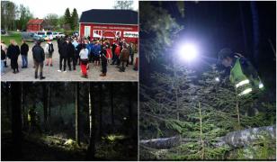 Copil român de 2 ani, găsit după 14 ore într-o pădure din Suedia. A dispărut chiar de sub ochii părinţilor